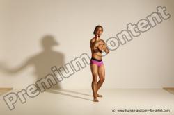 Elmer - Traditional Korean Art